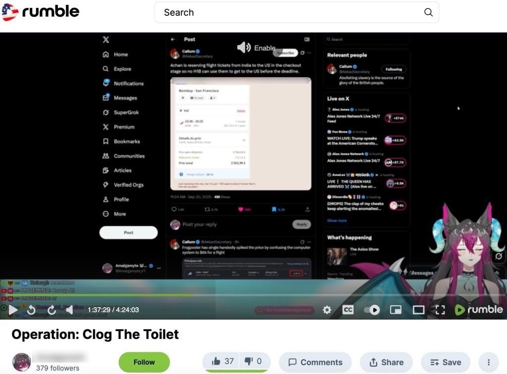 Rumble 4chan campaign H1B