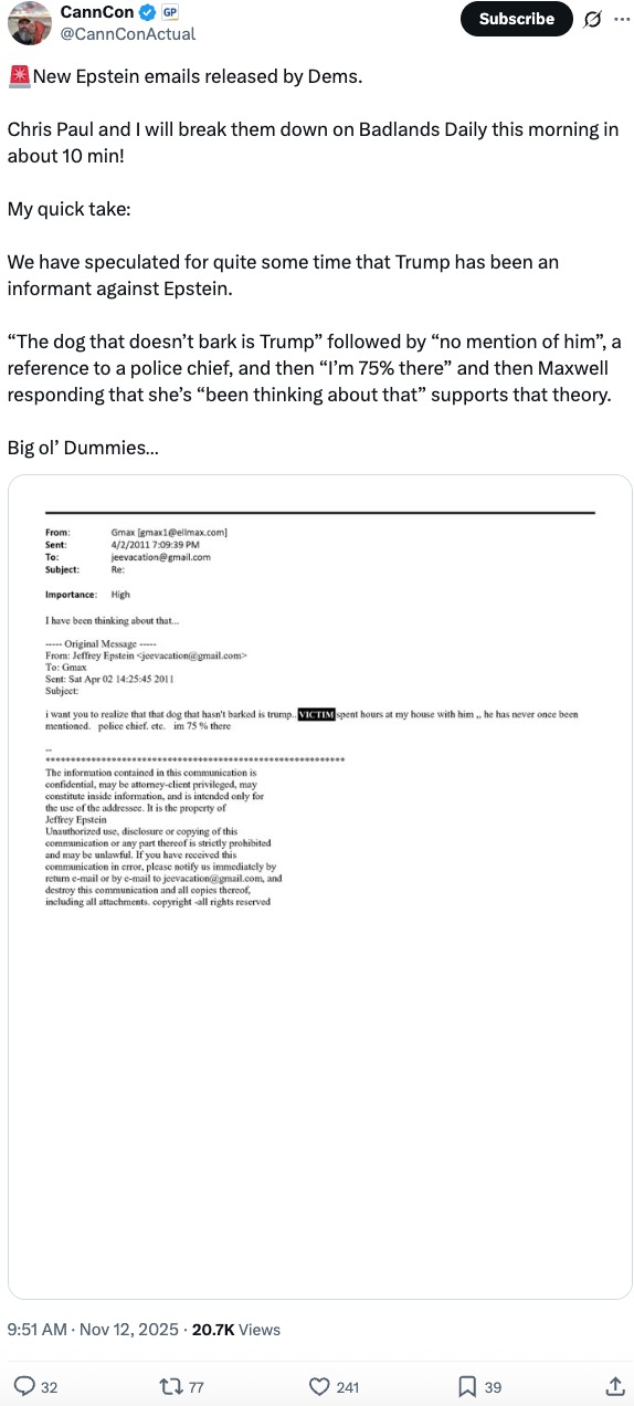 Lupo Trump Epstein informant