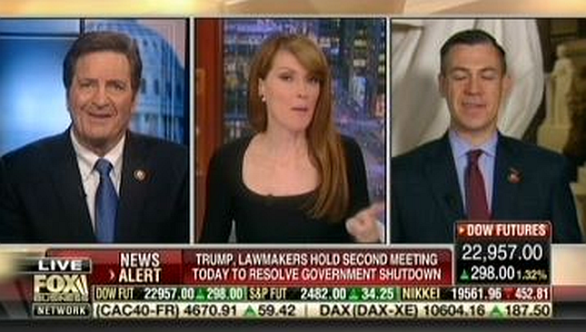 Fox Business host attempts to sell Trump's border wall as ...