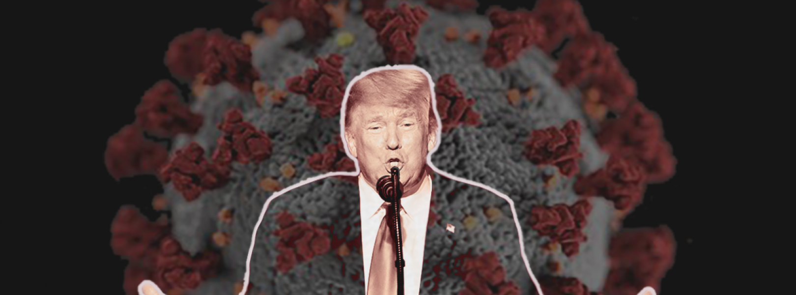 Trump and the coronavirus