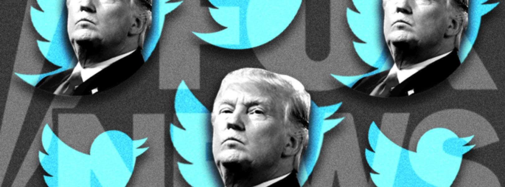 Trump tweets Fox