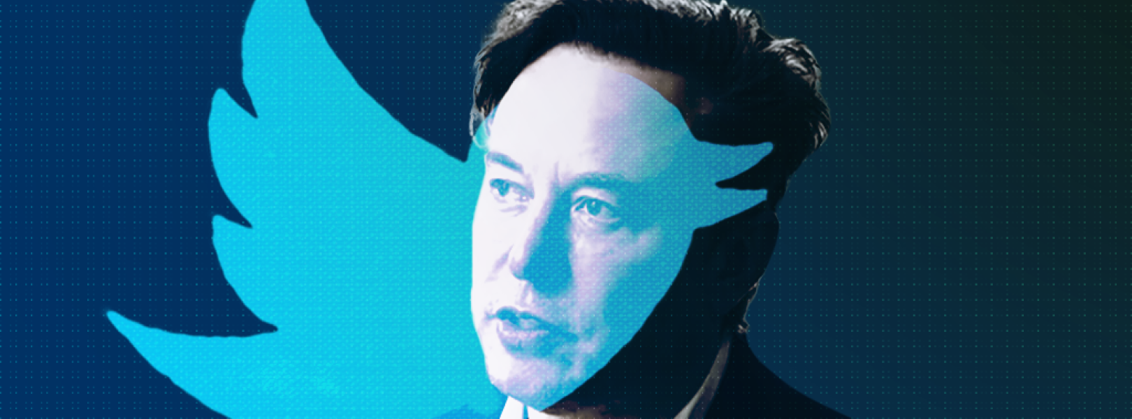 Elon Musk Twitter
