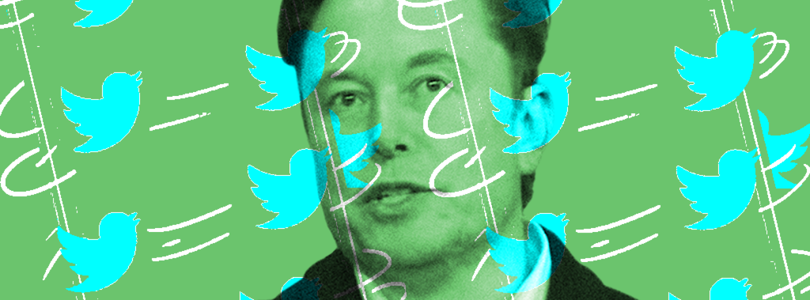 Under Elon Musk’s new “general amnesty” plan, right-wing accounts ...