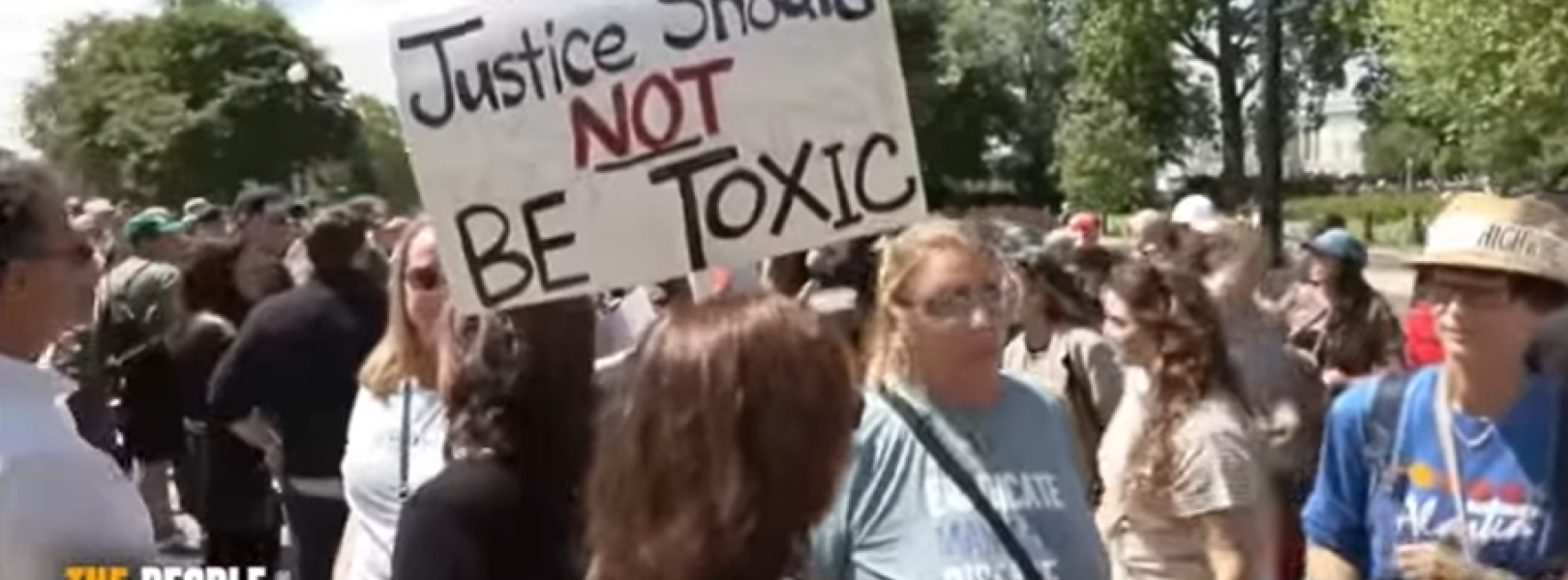 rally attendees with signs 
