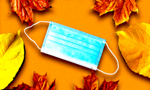 A mask surrounded by autumn leaves