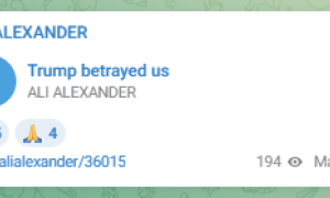 Screenshot of Ali Alexander post