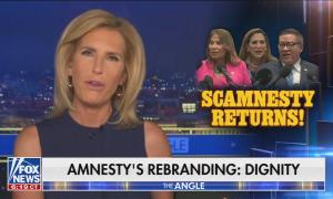 Laura Ingraham screenshot from Fox News. Scamnesty / Amnesty Rebranded: Dignity