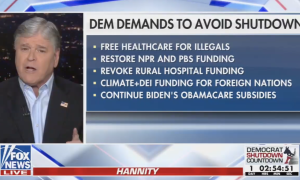 Fox News host Sean Hannity claims Democrats shut down the government in dispute of health care funding for "illegal immigrants"