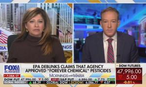 Lee Zeldin & Maria Bartiromo