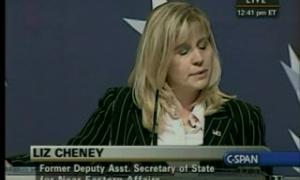cpac-20100218-cheneyapologize.flv