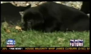 fnc-20101015-stosselfounders.flv