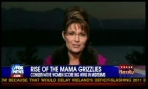 fnc-20101122-palinfearfordemocracy.mp4