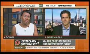 msnbc-thereidreport-20140604-nra.flv