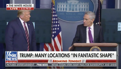 Scott Atlas appears at White House briefing with President Trump