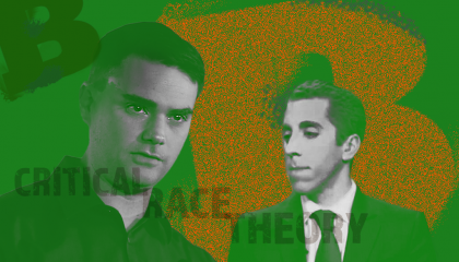 Shapiro, Pollak & Critical Race Theory