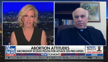 Screencap of a Fox News @ Night segment