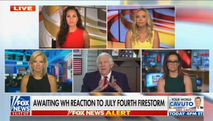 Fox's Kayleigh McEnany blatantly lies about founding fathers and slavery