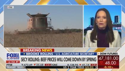 Brooke Rollins with wheat field 