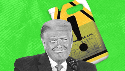 trump-maha-glyphosate