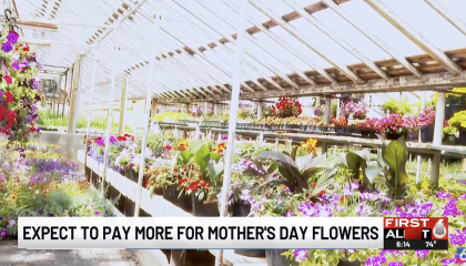 WOWT Omaha reports on how higher gas prices are driving up flower prices for Mother's Day