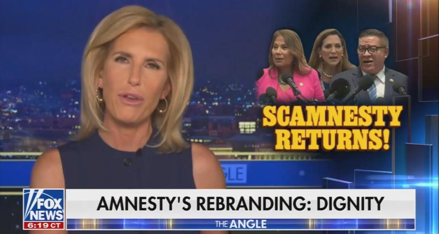 Laura Ingraham screenshot from Fox News. Scamnesty / Amnesty Rebranded: Dignity