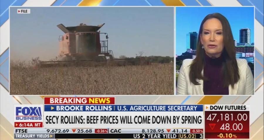 Brooke Rollins with wheat field 