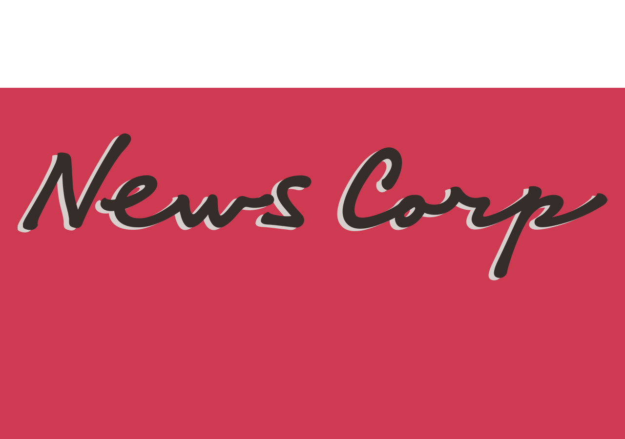 NEWS MEDIA CORP intelligence overview