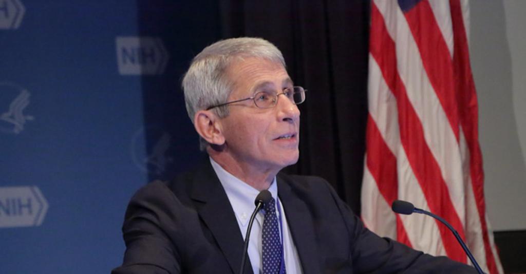Far-right media target Anthony Fauci's daughter with conspiracy theory about her employment ...