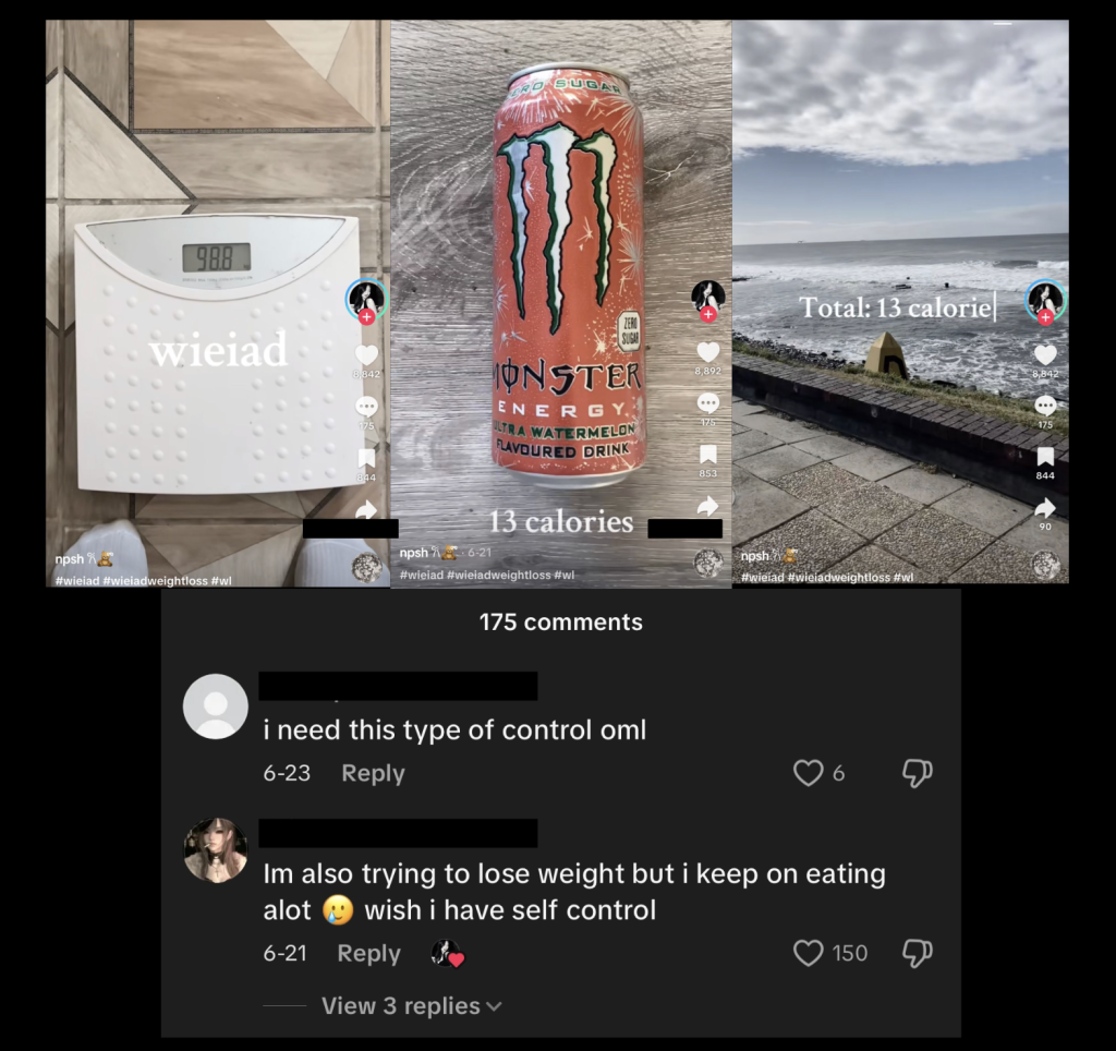 WIEIAD + comment, TikTok 2
