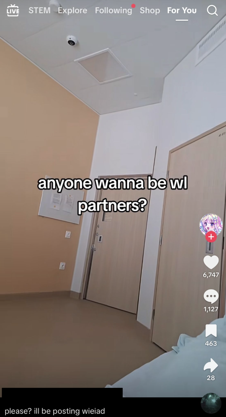 TikTok WL partners