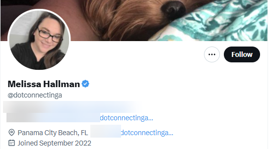 Dot Connecting Anons Twitter profile
