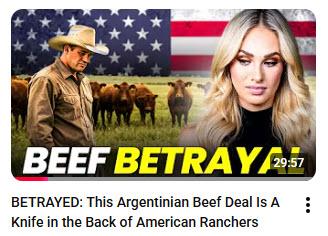 tomi lahren "beef betrayl"