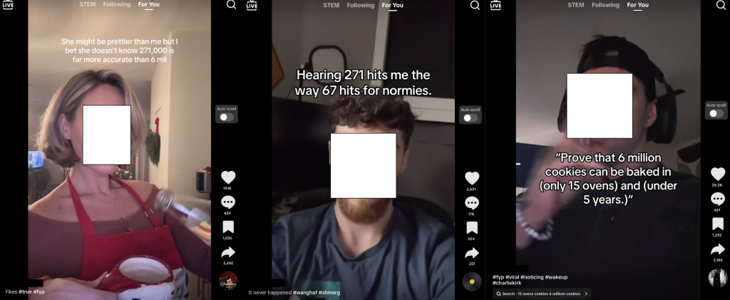 271, Holocaust denial 