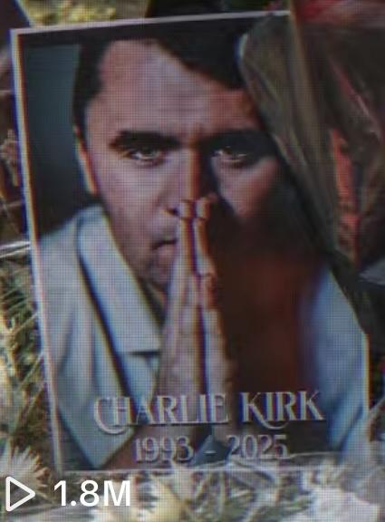 bride of charlie, tiktok view count