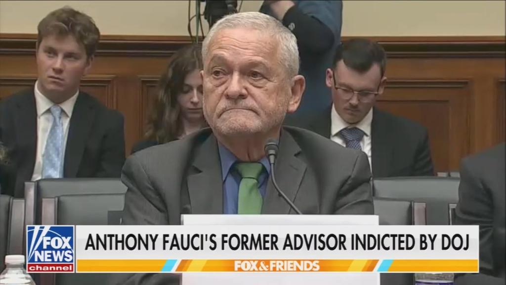 Fox screengrab