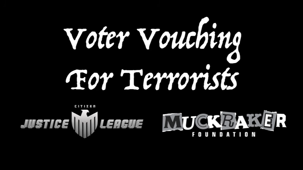 Screenshot from Rubin's video showing collaboration with the Citizen's Justice League